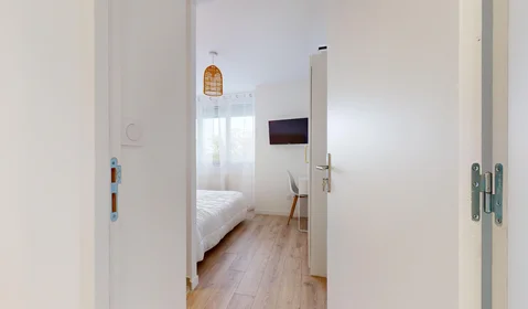 Stanza privata in 165 rue Emile Gaboriau, immagine 16 di 21