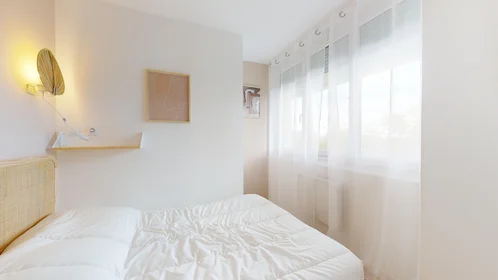 Stanza privata in 165 rue Emile Gaboriau, immagine 17 di 21