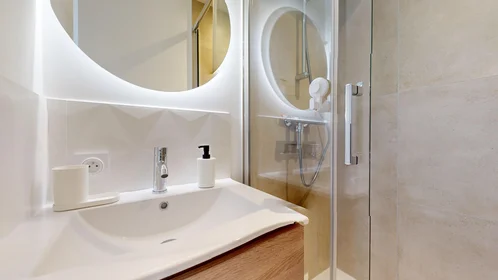 Stanza privata in 165 rue Emile Gaboriau, immagine 18 di 21