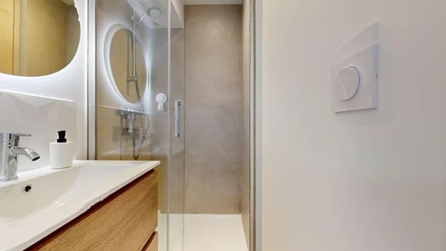 Stanza privata in 165 rue Emile Gaboriau, immagine 19 di 21