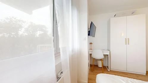 Stanza privata in 165 rue Emile Gaboriau, immagine 20 di 21