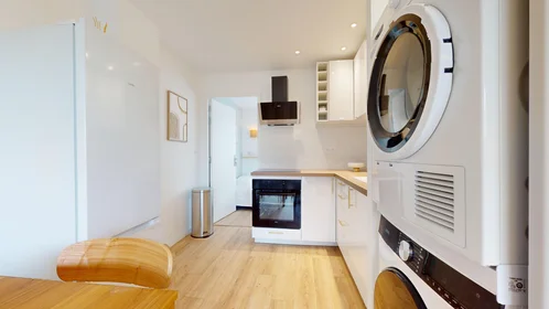 Stanza privata in 165 rue Emile Gaboriau, immagine 3 di 21