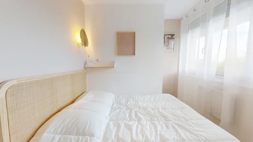 Stanza privata in 165 rue Emile Gaboriau, immagine 21 di 21