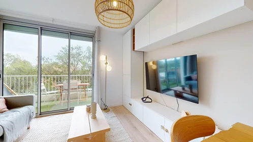 Stanza privata in 165 rue Emile Gaboriau, immagine 4 di 21