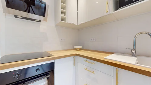 Stanza privata in 165 rue Emile Gaboriau, immagine 5 di 21