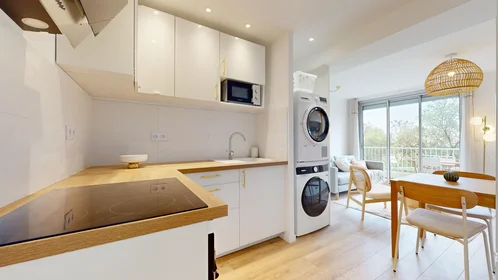 Stanza privata in 165 rue Emile Gaboriau, immagine 6 di 21