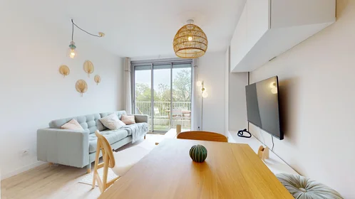 Stanza privata in 165 rue Emile Gaboriau, immagine 7 di 21