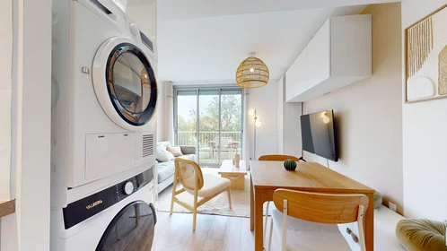 Stanza privata in 165 rue Emile Gaboriau, immagine 8 di 21