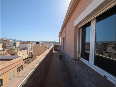 Bright private room in Palma-de-mallorca