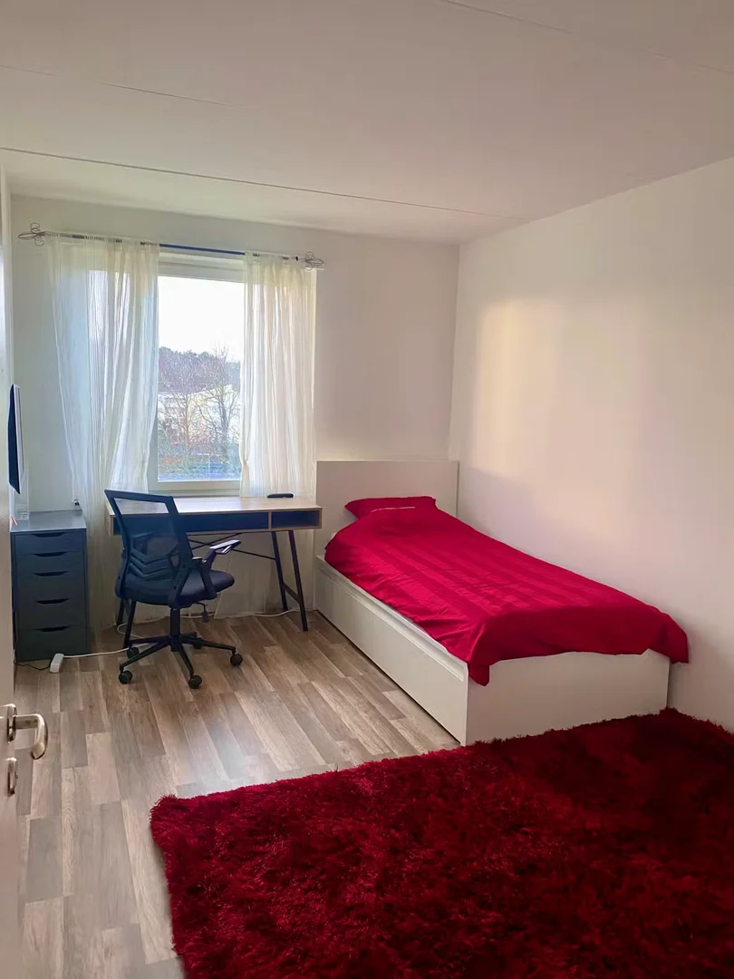 Affordable room for students with ample lighting in