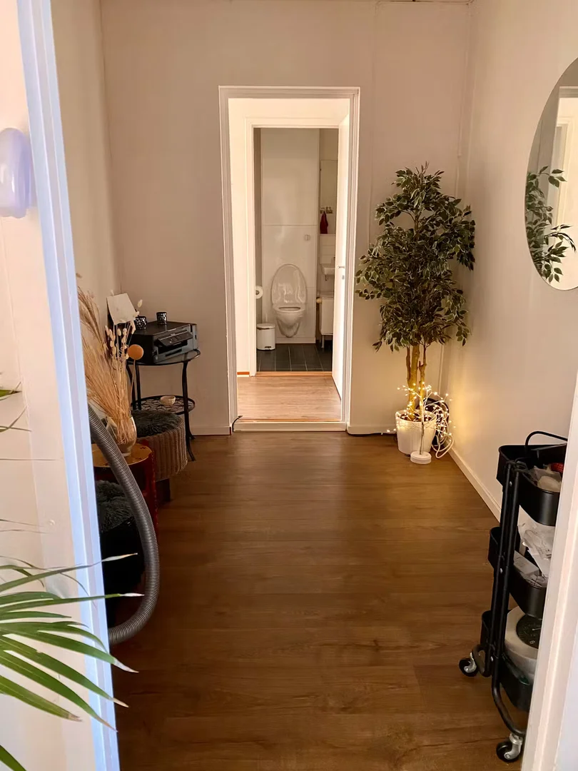 Budget-friendly student room close to campus in