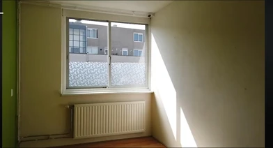 Room for rent in a shared flat in Groningen