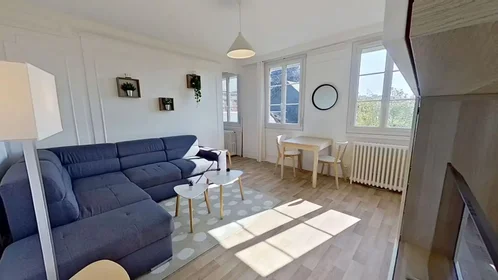 Entire apartment at Rue Saint-Maur, Gare/Jouvenet, image 8 of 8