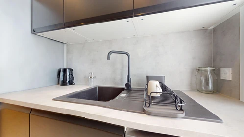 Stanza privata in 114 Cours Gambetta/ 1er étage, immagine 15 di 20