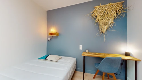 Stanza privata in 114 Cours Gambetta/ 1er étage, immagine 20 di 20