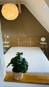 Studio at Irisweg, image 13 of 18