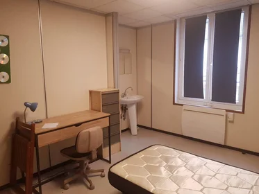 Private room at Orléans, 45000, image 11 of 49