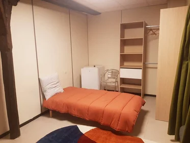 Private room at Orléans, 45000, image 22 of 49