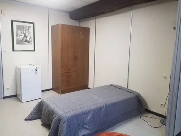 Private room at Orléans, 45000, image 30 of 49
