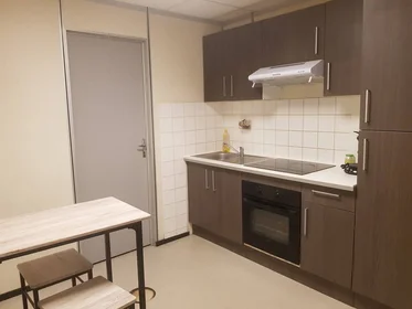 Private room at Orléans, 45000, image 4 of 49