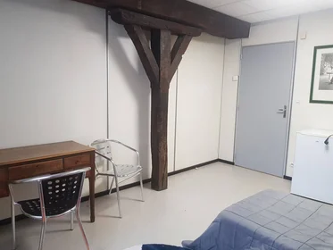 Private room at Orléans, 45000, image 31 of 49