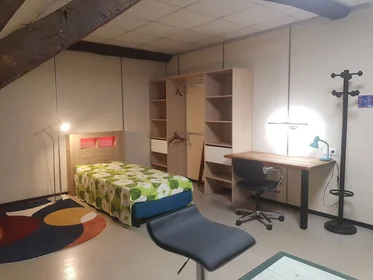 Private room at Orléans, 45000, image 37 of 49
