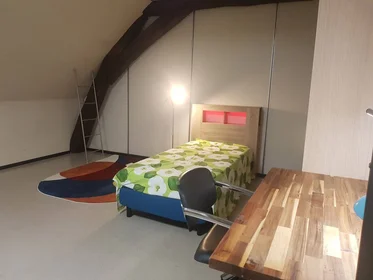 Private room at Orléans, 45000, image 38 of 49