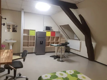 Private room at Orléans, 45000, image 39 of 49