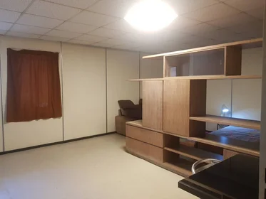 Private room at Orléans, 45000, image 43 of 49