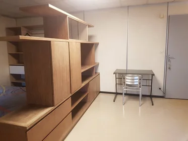 Private room at Orléans, 45000, image 46 of 49