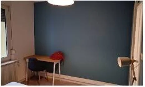Quarto privado em Strasbourg, 67200, imagem 11 de 25