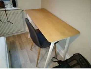 Quarto privado em Strasbourg, 67200, imagem 12 de 25
