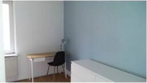 Quarto privado em Strasbourg, 67200, imagem 13 de 25