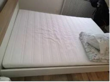 Quarto privado em Strasbourg, 67200, imagem 17 de 25
