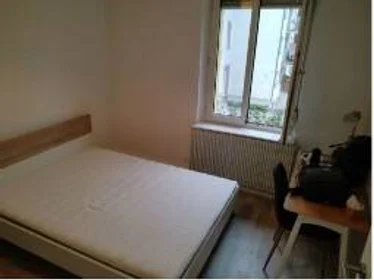 Habitación privada en Strasbourg, 67200, imagen 25 de 25
