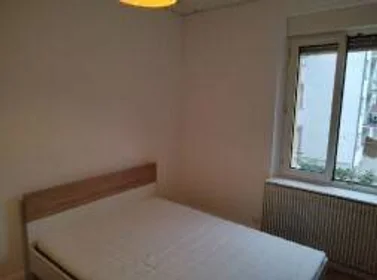 Quarto privado em Strasbourg, 67200, imagem 4 de 25