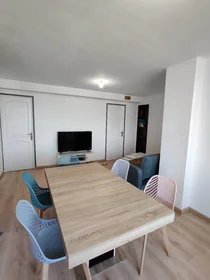 Stanza privata in Avignon, 84000, immagine 1 di 15