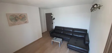 Prywatny pokój Mulhouse, 68100, obraz 12 23