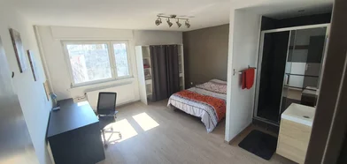 Private room at Mulhouse, 68100, image 18 of 23