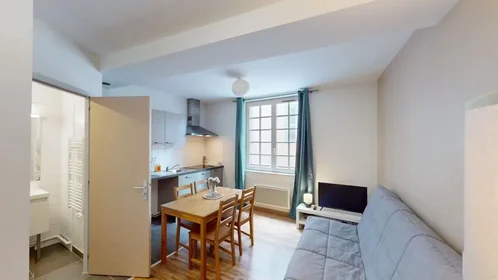 Logement entier à Rue du Temple, Centre-Hôtel de Ville Emailleurs, image 1 de 10