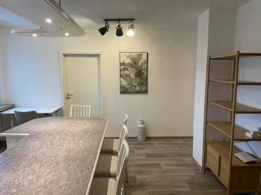 Habitación privada en Westliche Stadtmauerstraße, Erlangen, imagen 6 de 9