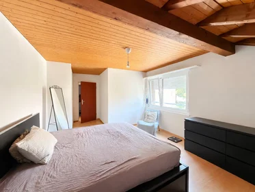 整套公寓 在 Schützenstrasse, Wallisellen, 10的图像10