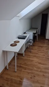 Chambre privée à Marijas iela, Centra rajons, image 7 de 10