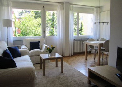 Nowoczesne i jasne mieszkanie w Basel