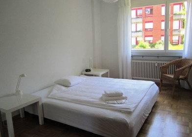 2-Zimmer-Unterkunft in Basel