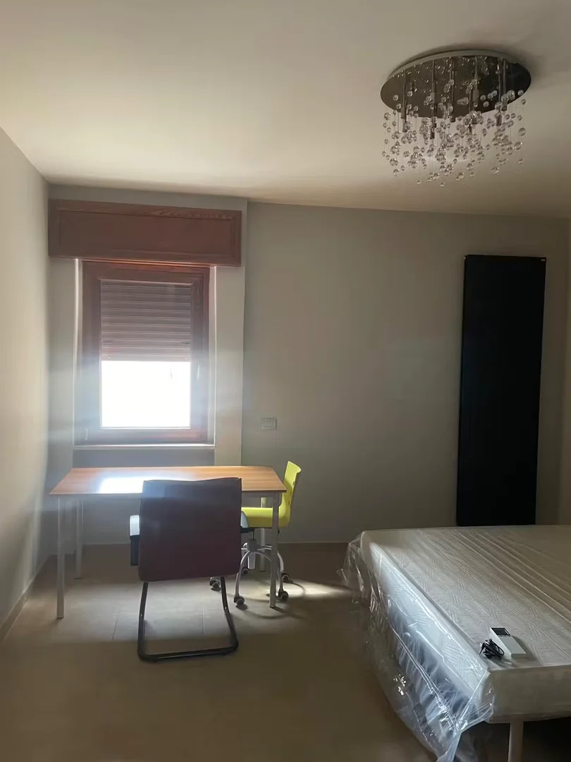 Chambre abordable pour les étudiants avec un bon éclairage dans 