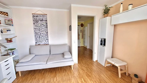 Entire fully furnished flat in Freiburg-im-breisgau