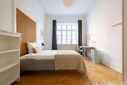 Bright private room in {area}