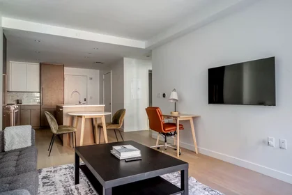 Entire apartment at Harrison Avenue, South End, image 4 of 10