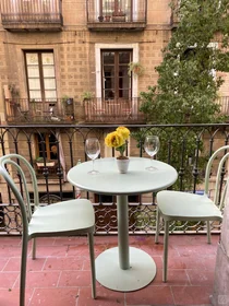 Privatzimmer in der Ciutat Vella, Barcelona, bild 15 von 17